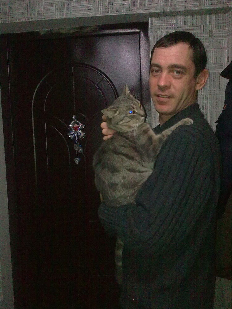  ,   , 46 ,   
