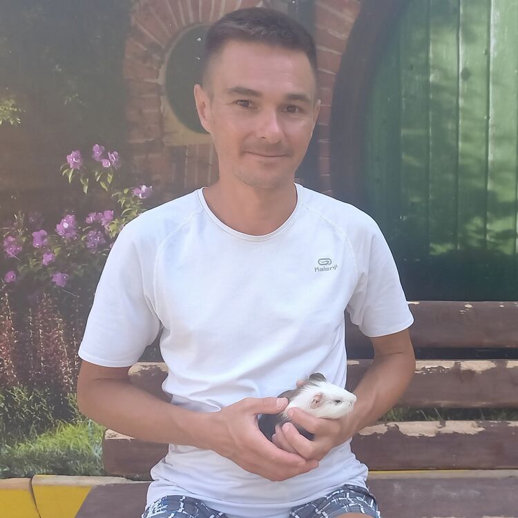 ���������� ������, ���� ������� �����, 43 ����, ������������ ��� c�������� ���������