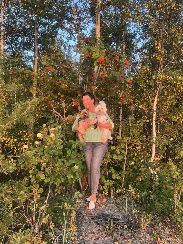 ���� 55608985 ������� �����, 53 ����, ���� ���������� � �������������