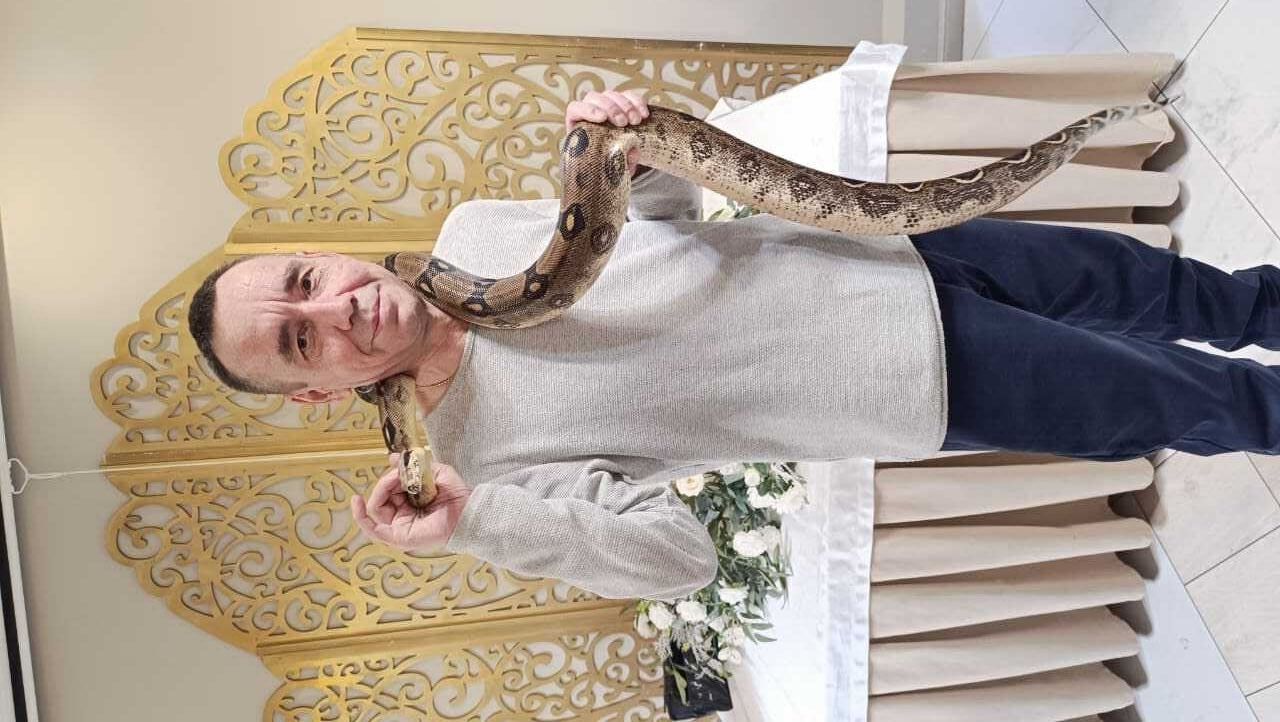 ���� 49511085 ������� �����, 50 ���, ���� ���������� � ������