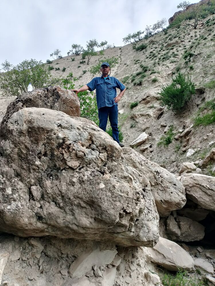 ���������� ��������, ���� ������� Zoir, 54 ����, ������������ ��� ������, ����� � ���������