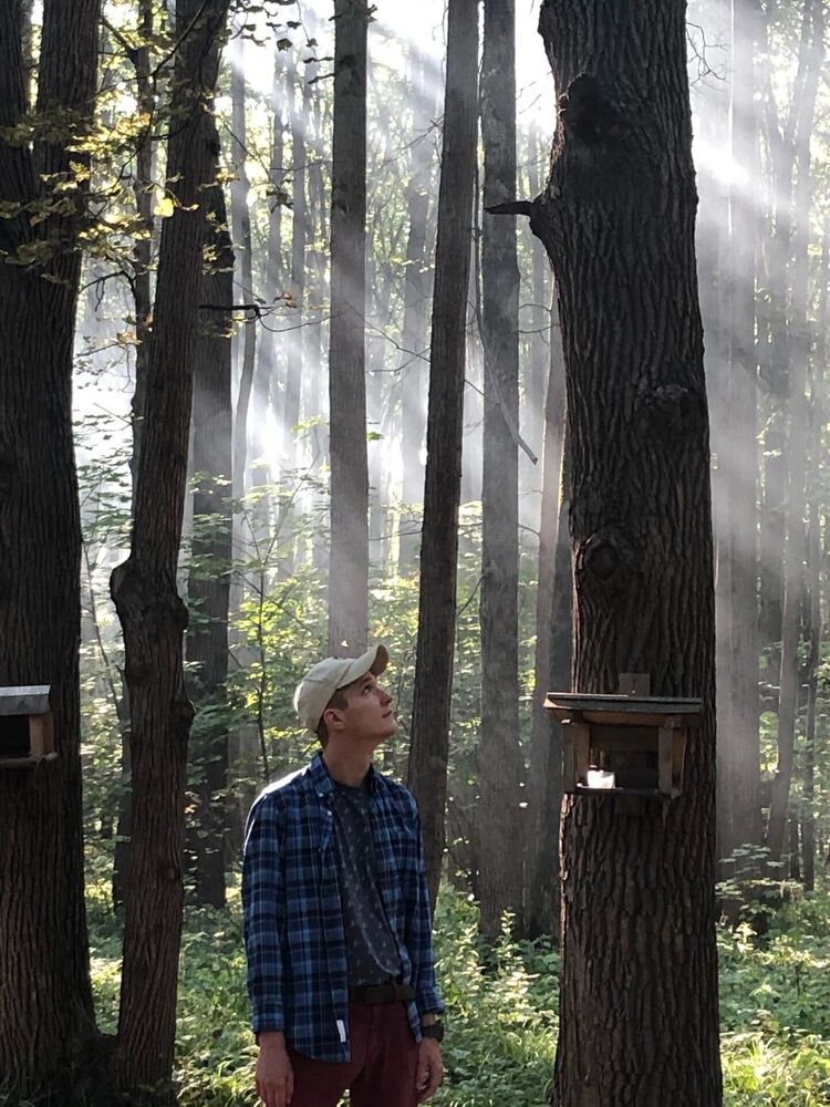 ���������� ������, ���� ������� �����, 26 ���, ������������ ��� ������, ����� � ���������, c�������� ���������, ���������