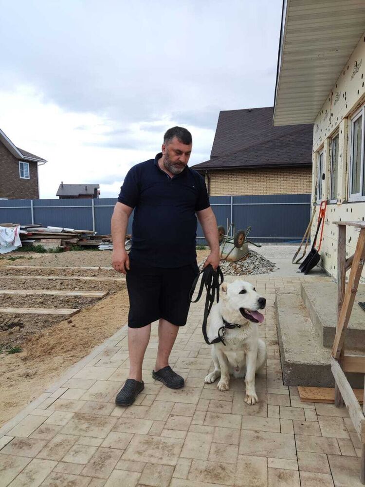 ���������� ������, ���� ������� ����, 50 ���, ������������ 