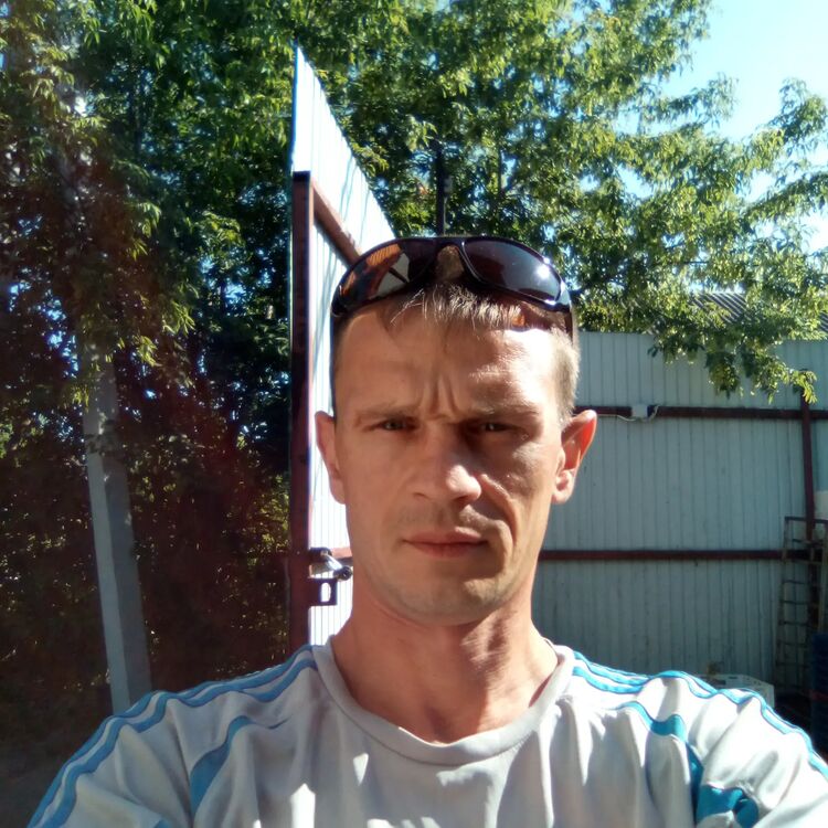  23743815  , 41 ,    