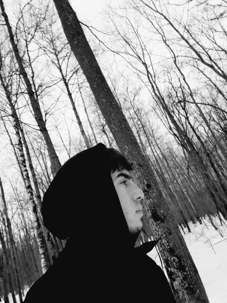 ���� 31854035 ����� ������, 24 ����, ���� ���������� � �����