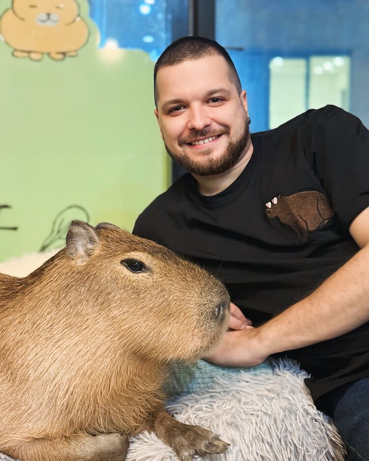 ���������� ������, ���� ������� �����, 32 ����, ������������ ��� ������, ����� � ���������