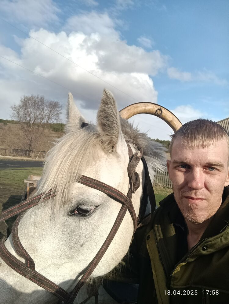 ���������� �����������, ���� ������� �����, 37 ���, ������������ ��� ������, ����� � ���������, c�������� ���������, ���������