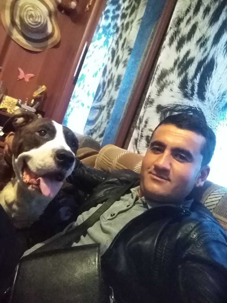 ���������� ���������, ���� ������� ����, 37 ���, ������������ ��� ������, ����� � ���������