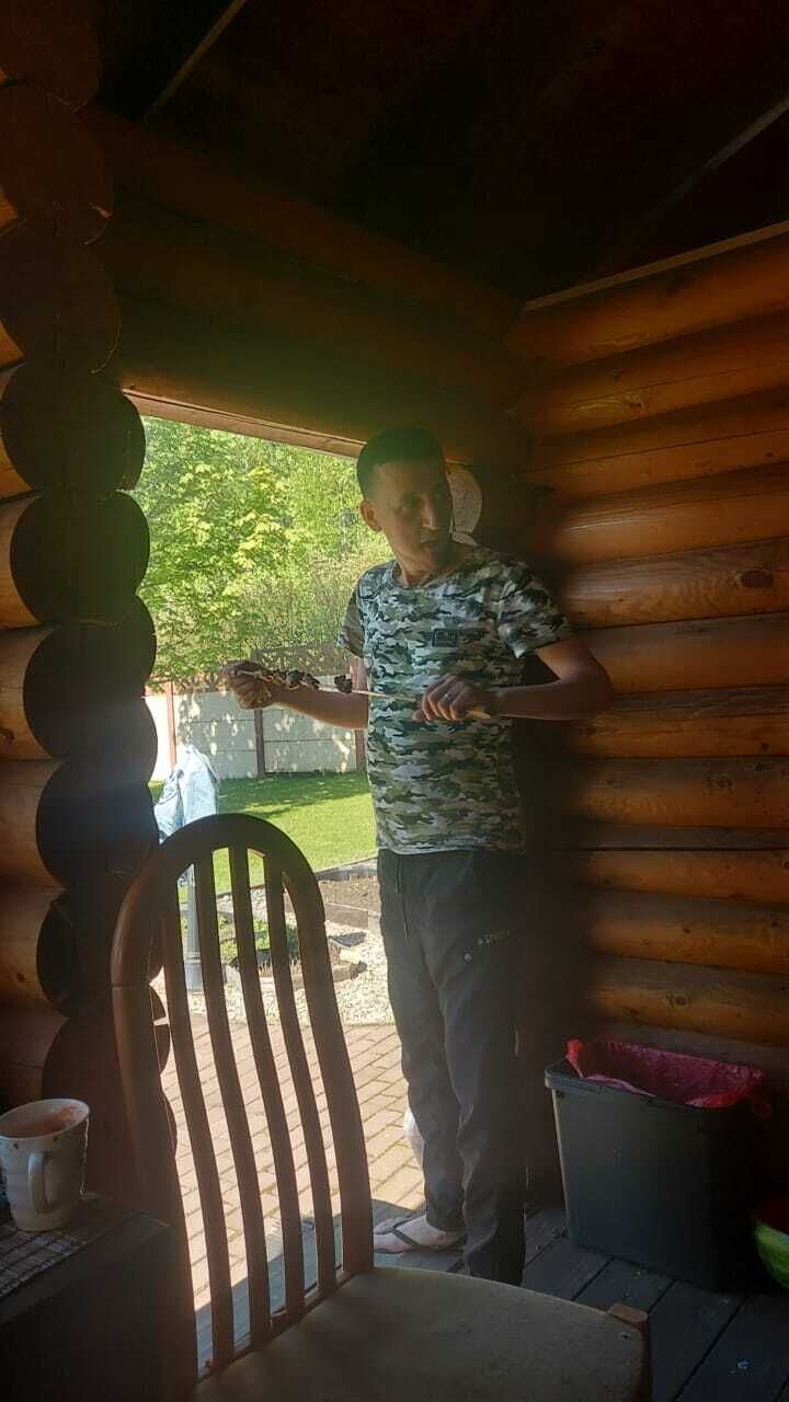  43353665  , 39 ,    