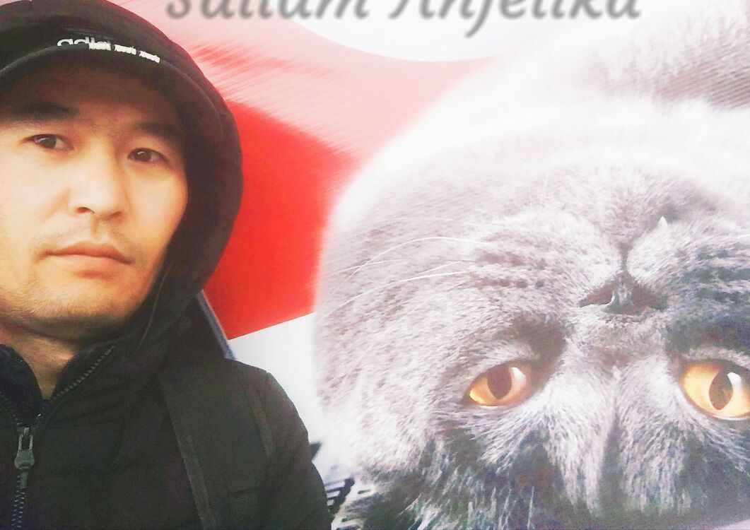 ���� 40913975 ������� ����, 39 ���, ���� ���������� � �������