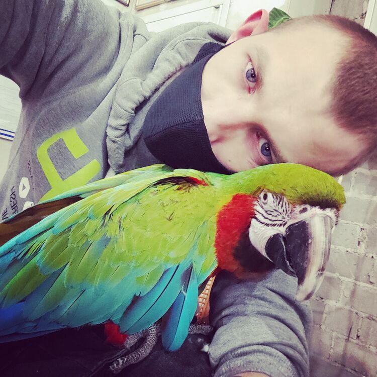 ���� 25229915 ������� ������, 29 ���, ���� ���������� � ���������