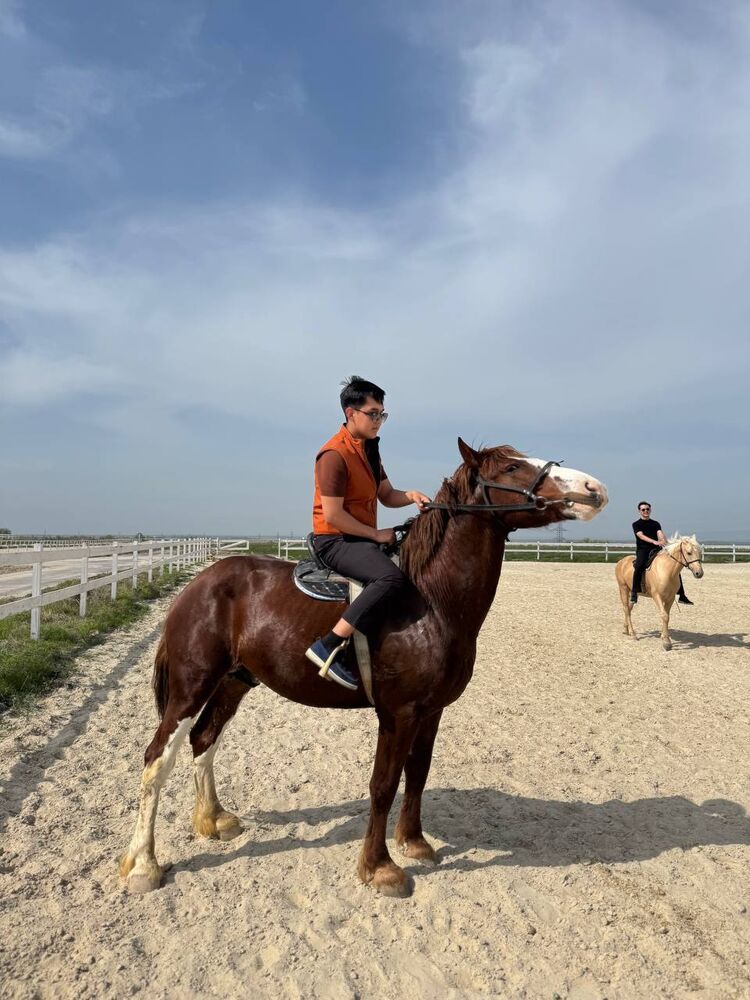 ���� 55496935 ����� ���������, 19 ���, ���� ���������� � ��������