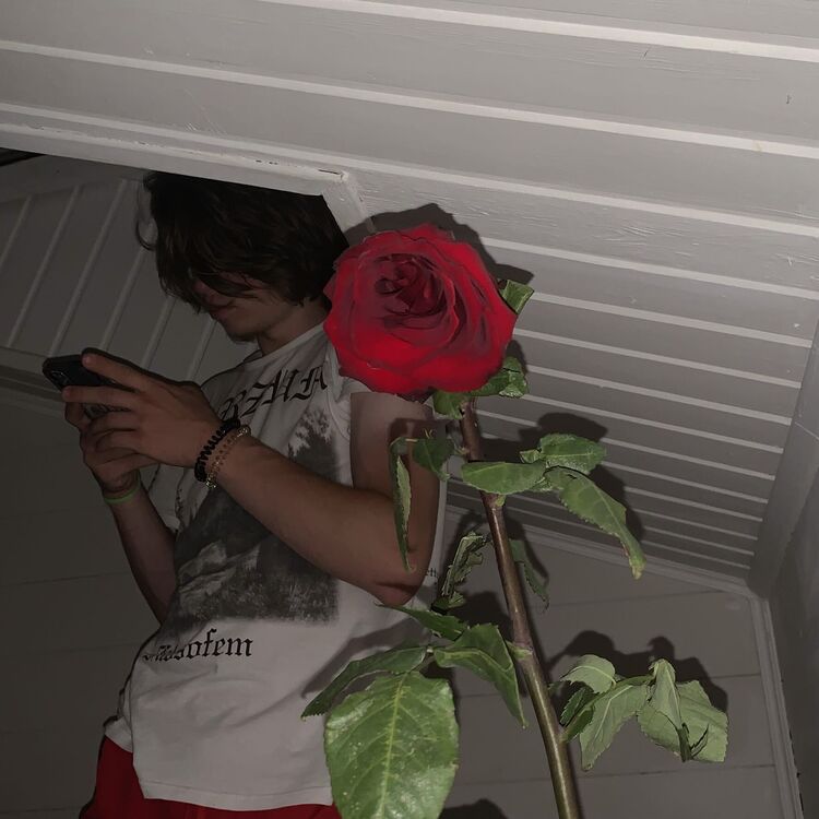 ���������� �����������, ���� ����� �������, 23 ����, ������������ ��� ����� � ���������, c�������� ���������