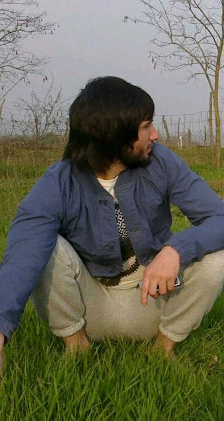  33531935  , 35 ,    -