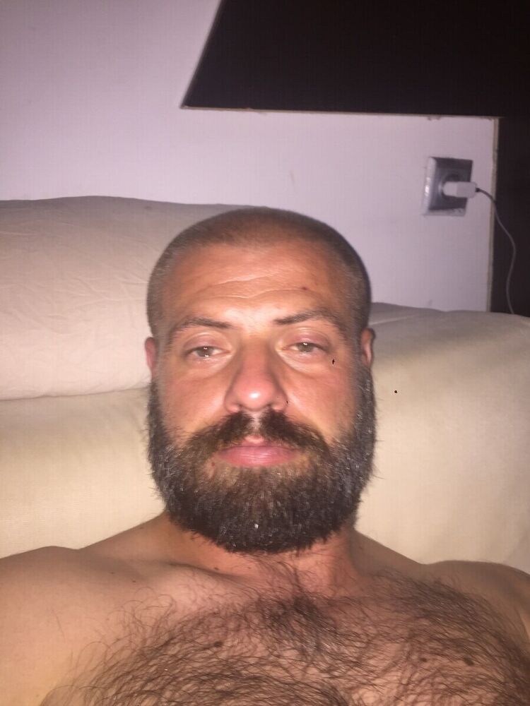  20313855  , 43 ,    