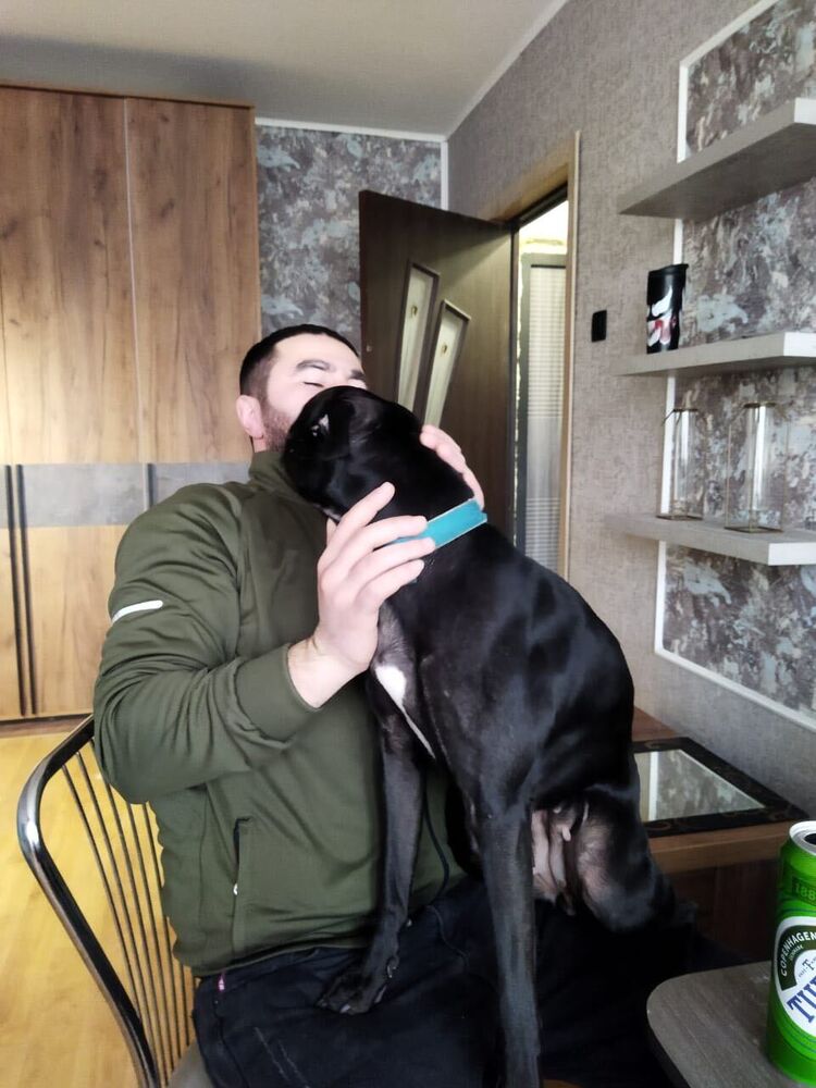 ���������� �����-���������, ���� ������� �����, 34 ����, ������������ ��� ������, ����� � ���������, c�������� ���������