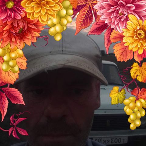 ���� 37602495 ������� ����, 45 ���, ���� ���������� � �����-����������