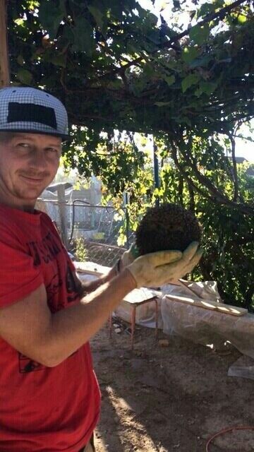 ���������� ���������, ���� ������� ����, 35 ���, ������������ ��� ������, ����� � ���������