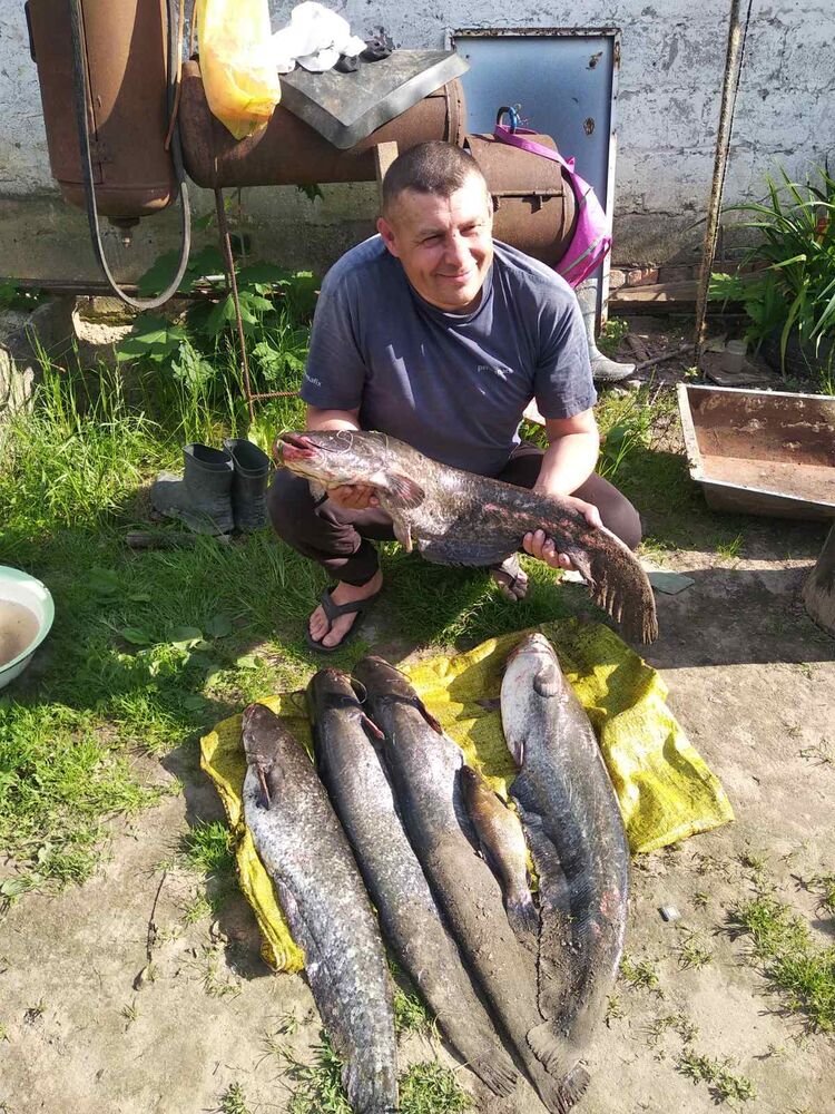 ���� 54976315 ������� ������, 45 ���, ���� ���������� � ���������