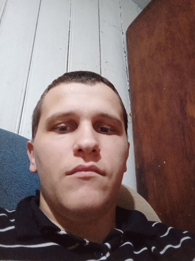 ���� 31387505 ����� ���������, 24 ����, ���� ���������� � �������-��-����