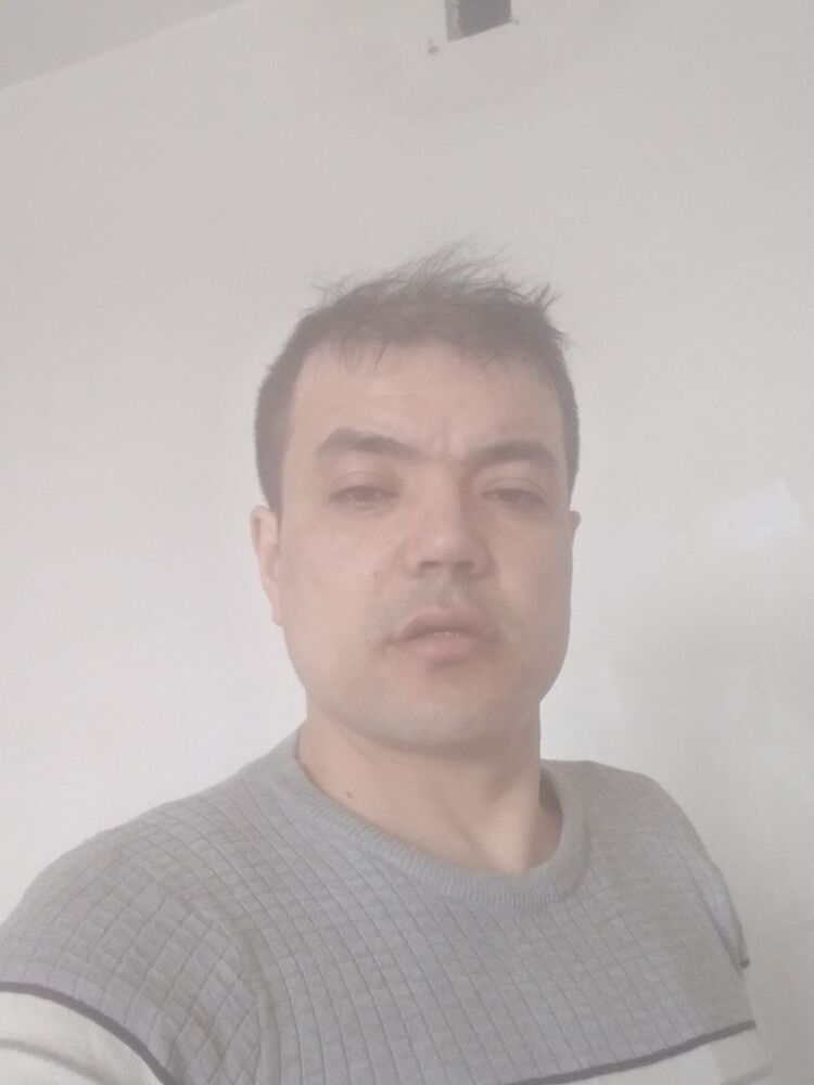  34651295  , 39 ,    