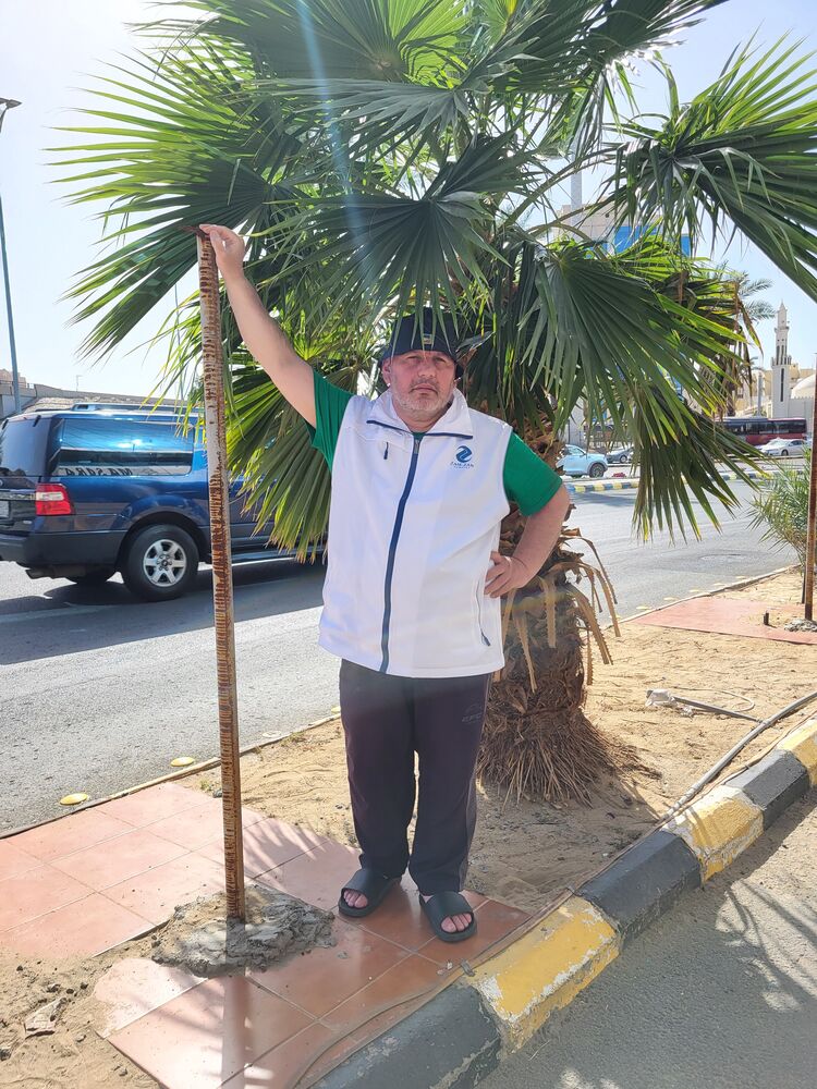 ���������� ���, ���� ������� �����, 48 ���, ������������ ��� ������, ����� � ���������