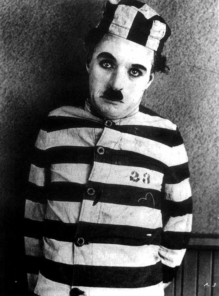 ���������� �������, ���� ������� Tazo, 28 ���, ������������ ��� ������, ����� � ���������, c�������� ���������