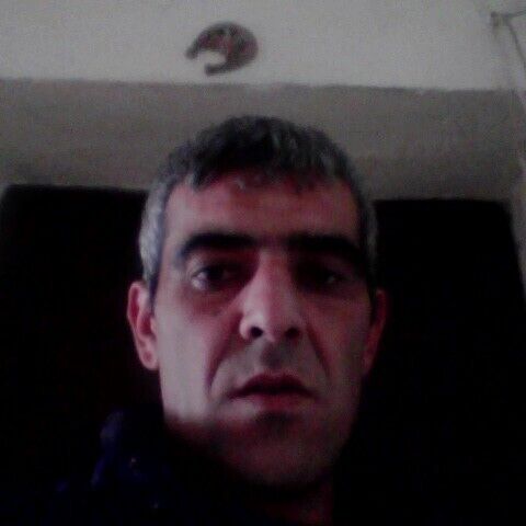  43740465  , 48 ,    