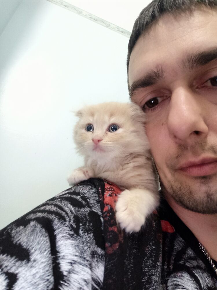 ���������� �����, ���� ������� ����, 40 ���, ������������ ��� ������, ����� � ���������