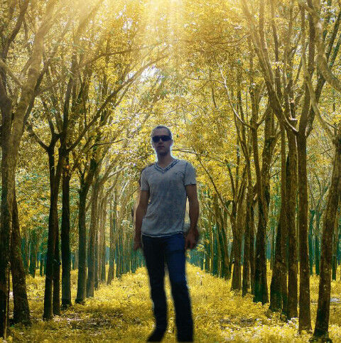 ���� 17478405 ������� ��������, 36 ���, ���� ���������� � �����������