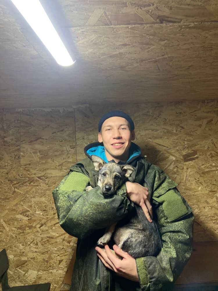 ���� 55919745 ����� ������, 22 ����, ���� ���������� � ���������� ������