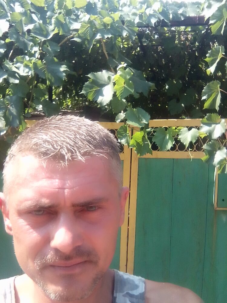  29944695  , 43 ,    