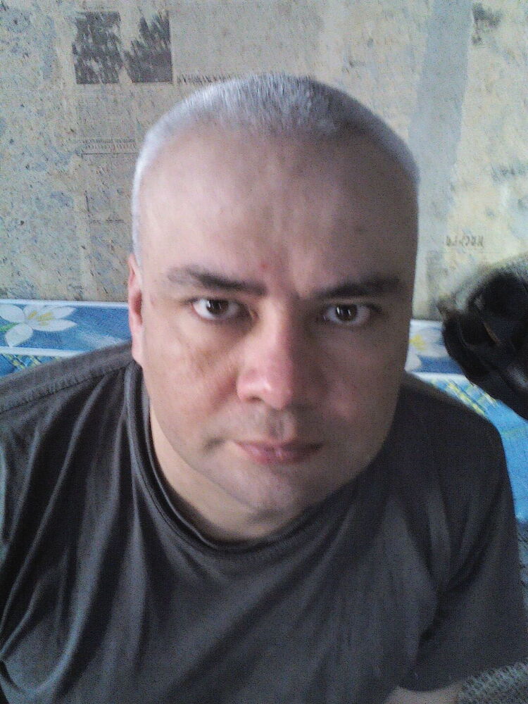  24484335  , 53 ,    