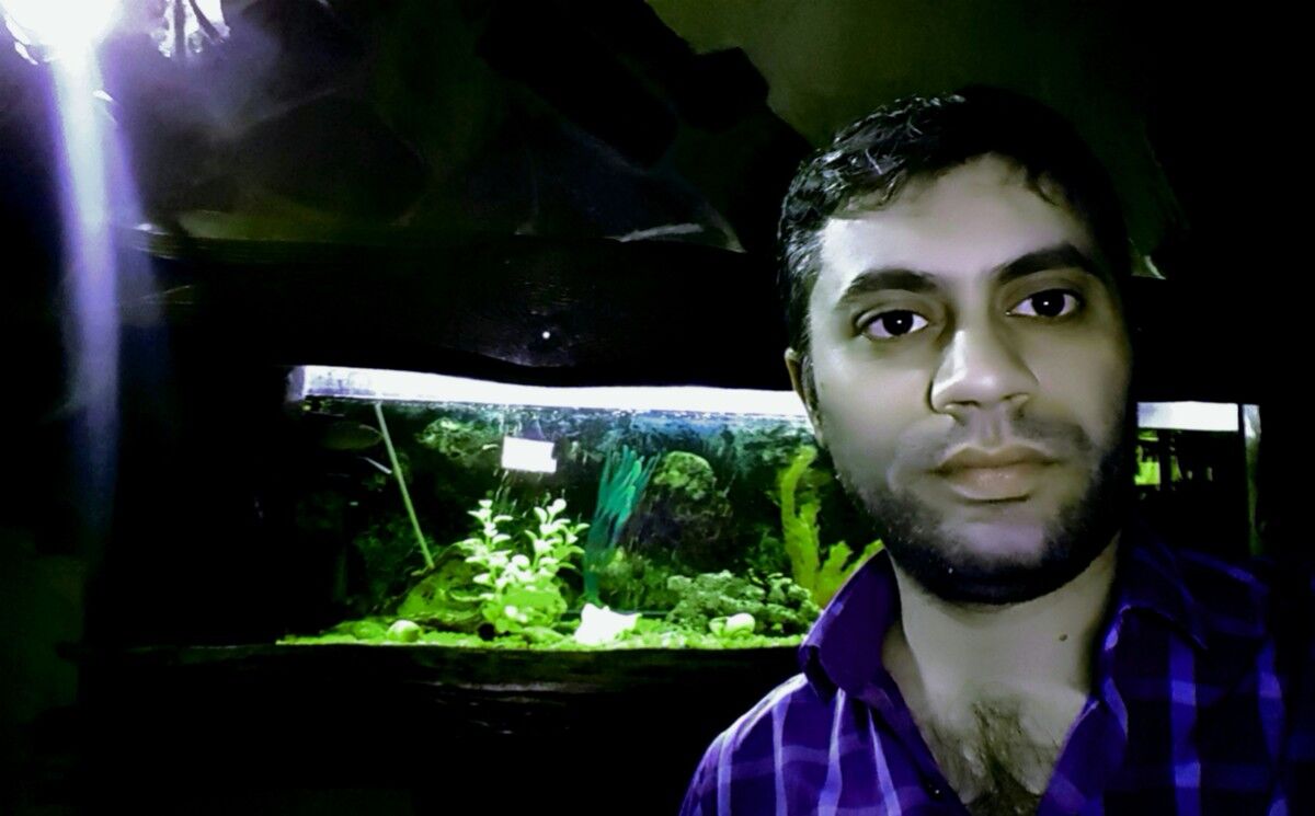 ���������� ������, ���� ������� �����, 41 ���, ������������ ��� ������, ����� � ���������, c�������� ���������