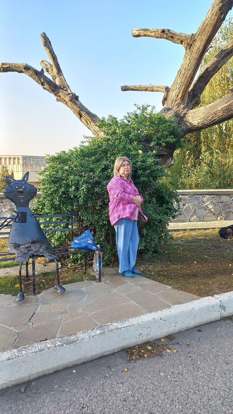   ,   , 55 ,     , c , 