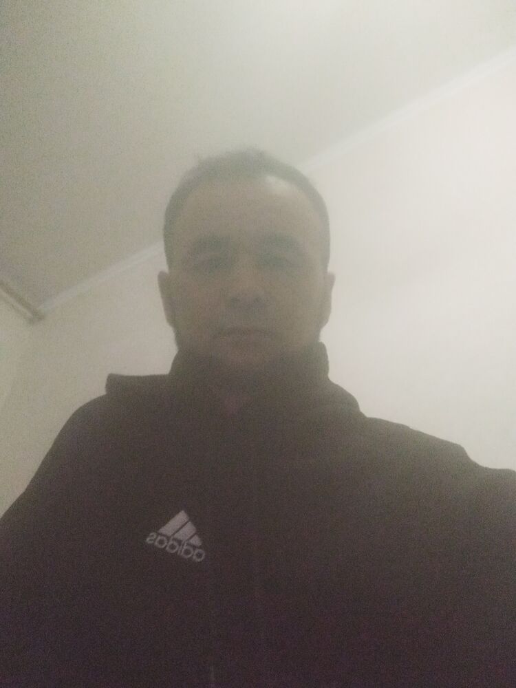  44456685  , 36 ,    