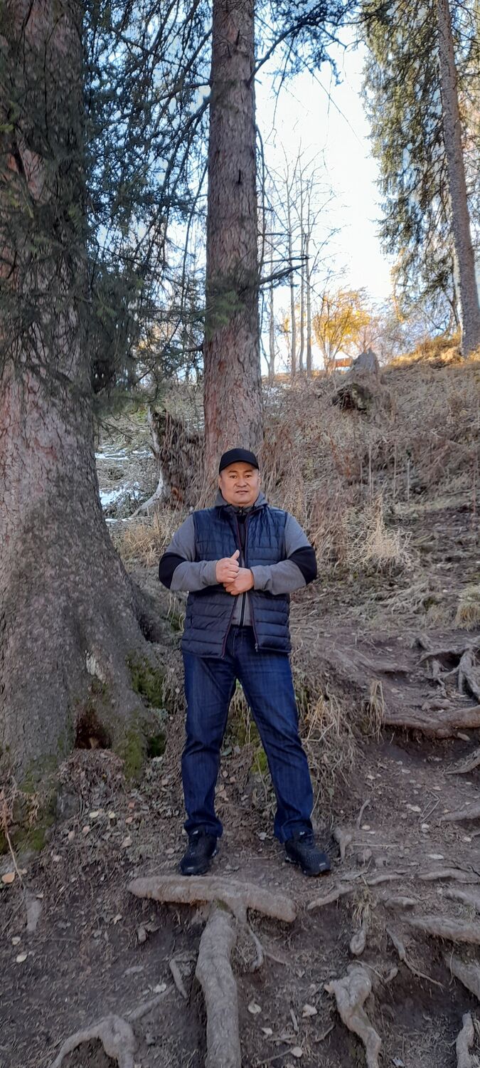 ���� 26672025 ������� �����, 45 ���, ���� ���������� � ������