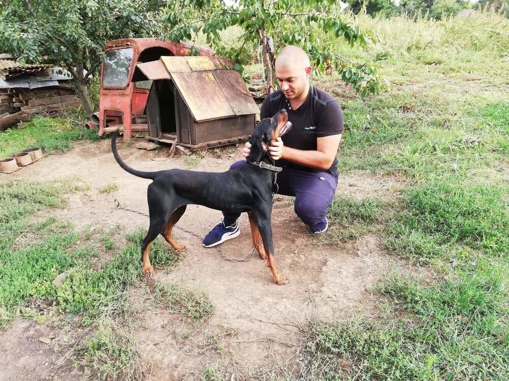  18860835  Kostadin, 28 ,    Veliko Turnovo
