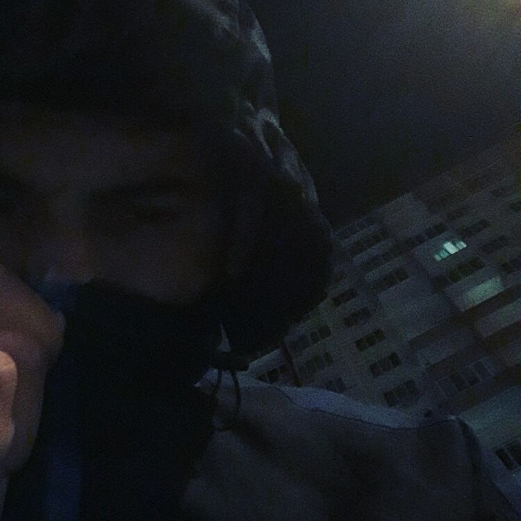  33969505  , 26 ,    -