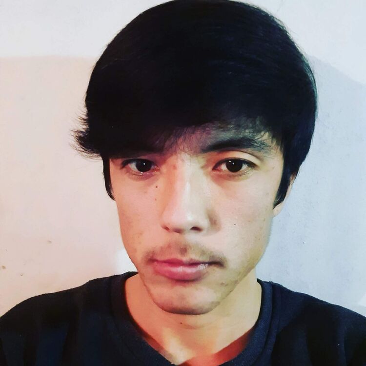  43858155  , 26 ,    