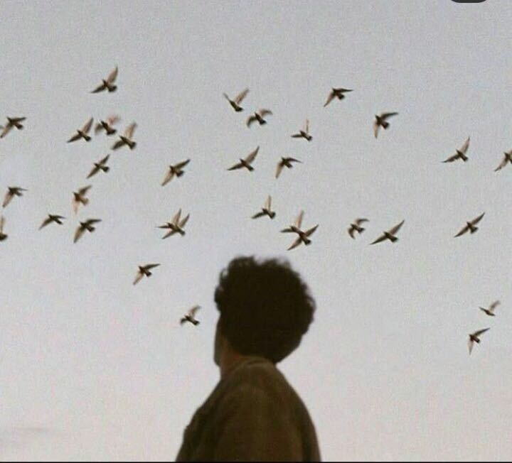 ���� 25949355 ����� Bedil, 25 ���, ���� ���������� � �������