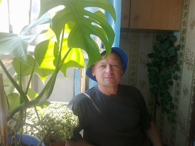 ���� 11581285 ������� �������, 54 ����, ���� ���������� � �������