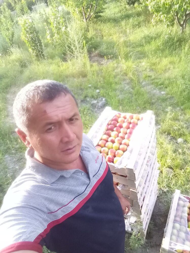 ���� 21655605 ������� Ma, 90 ���, ���� ���������� � ������