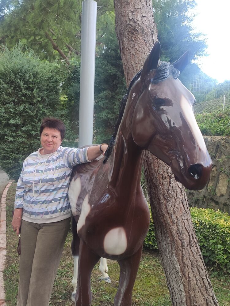 ���������� ����, ���� ������� ������, 63 ����, ������������ ��� c�������� ���������