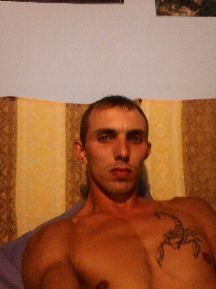  5029535  , 39 ,    -