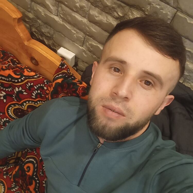 ���� 31797225 ������� Alisher, 29 ���, ���� ���������� � �������