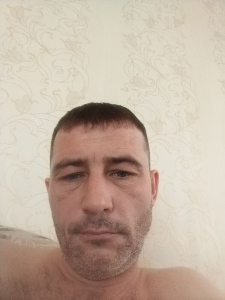  33821785  , 42 ,    