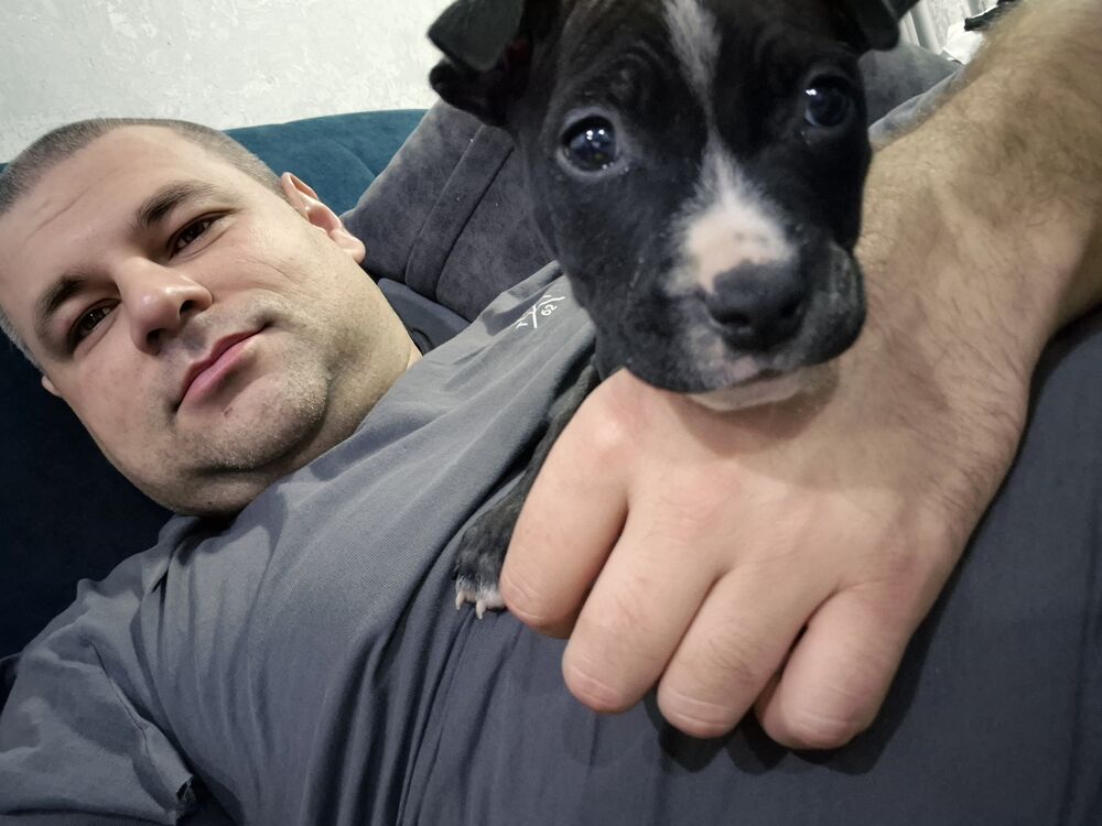 ���� 55035995 ������� ����, 39 ���, ���� ���������� � ������