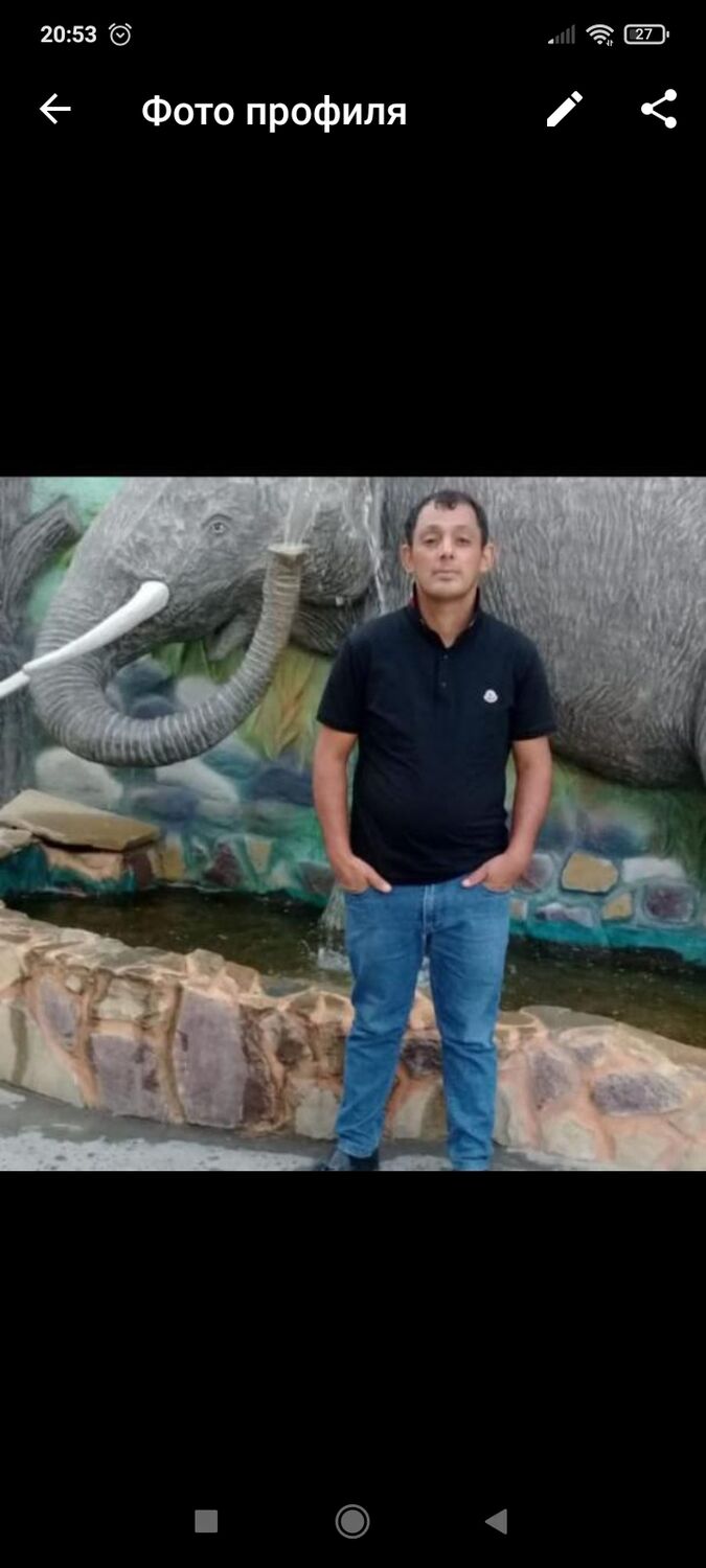 ���������� ������, ���� ������� Ragil, 40 ���, ������������ ��� ������, ����� � ���������