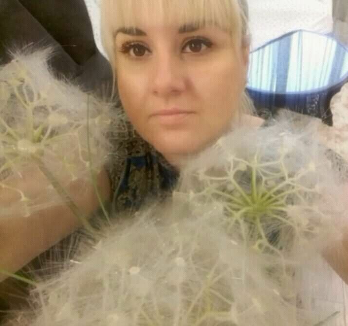 ���������� ����, ���� ������� ��������, 43 ����, ������������ ��� ����� � ���������, c�������� ���������, ���������